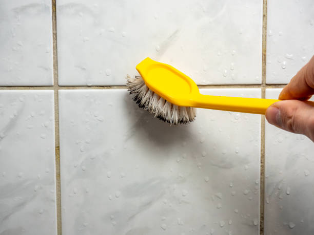 Mold Removal and Inspection in Amberley, OH