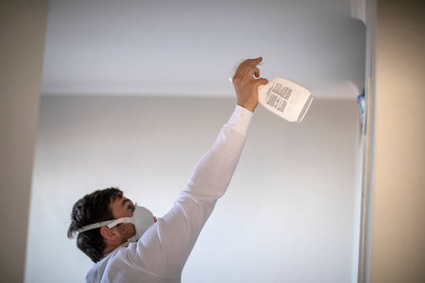 Best Office Mold Removal Services  in Amberley, OH