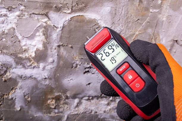 Best Water Damage Restoration  in Amberley, OH