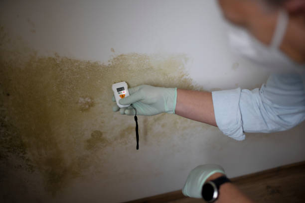 Best Mold Testing  in Amberley, OH