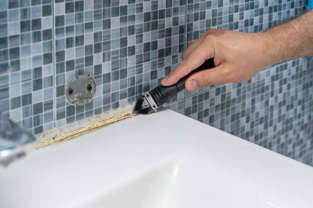 Mold Testing and Removal in Amberley, OH