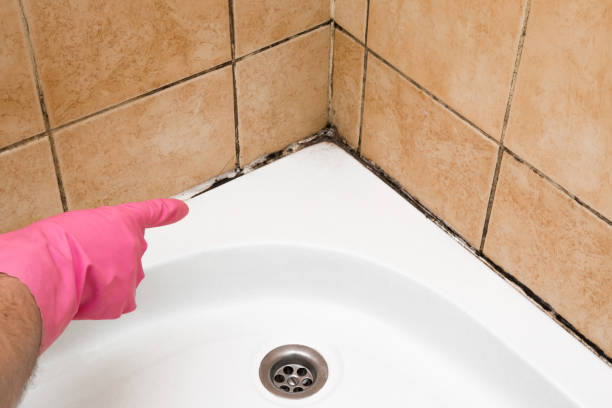 Best Mold Testing  in Amberley, OH